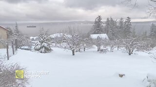 Winter scene is like an oil painting in Chemainus, BC