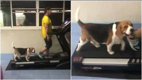 Cane e padrona in cerca della forma fisica perfetta!