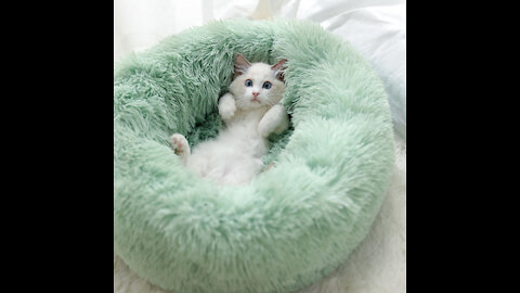 Super Soft Pet Bed