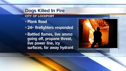 Fire investigators are trying to figure out what caused a fire that destroyed a home in the city of Lockport, and killed three dogs.