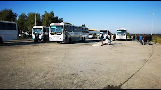 SOUTH AFRICA - Polokwane - ZCC congregants head for Moria (videos) (zKr)