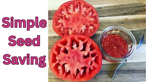 How to Master Simple Tomato Seed Saving