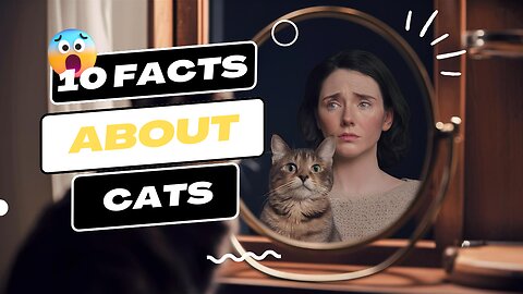 10 Facts about Cats