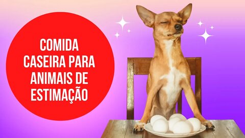 Como preparar comida caseira para animal de estimação