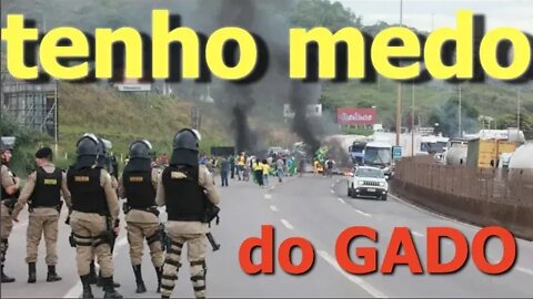 medo do GADO - Leonardo Stoppa - 22:30