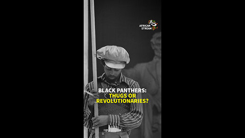 The Black Panthers: Thugs or Revolutionaries