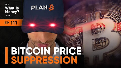 Bitcoin Price Suppression with Plan B (WiM111)