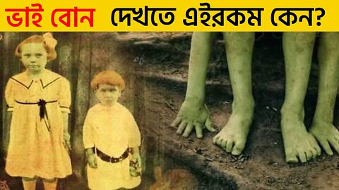 সবুজ রঙের দুটো বাচ্চা পাওয়া গেলো গুহার ভিতর।