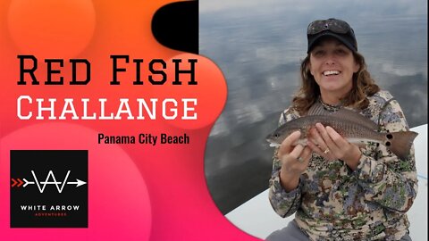 Sight Fishing for Red Fish is a BLAST /Florida/Panama City Beach