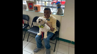 12-Year-Old Boy Makes Bow-Ties To Help Shelter Animals To Find Home