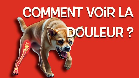 Détecter la Douleur Cachée de Ton Chien : Comment Lire les Signes