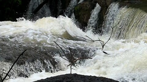 Flowing River Water Sound | ASMR | Water Ambience