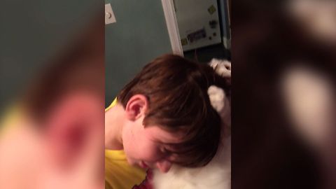 Weird Cat Cleans Kids Hair