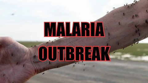 Malaria Outbreak in the U.S. - CDC Declares Health Emergency