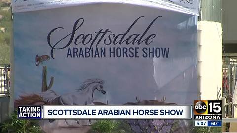 What to see at the Scottsdale Arabian Horse Show