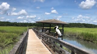 Huntington Beach State Park