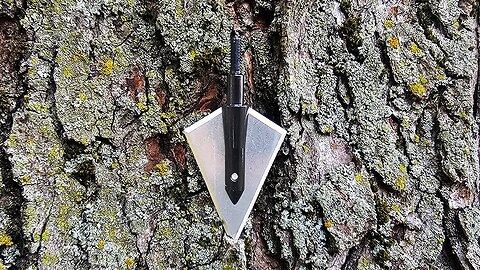 Northern Broadheads Wide Cut Broadhead Review