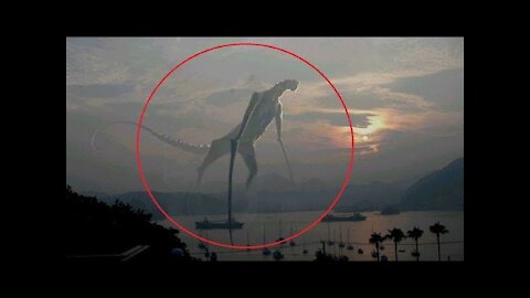 5 Mysterious Creatures Caught on the Camera