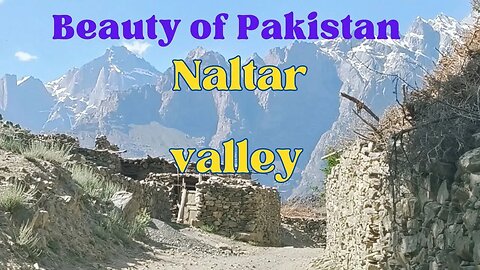 Naltar valley hunza. #tourism #adventure #montains #hunza #offroad