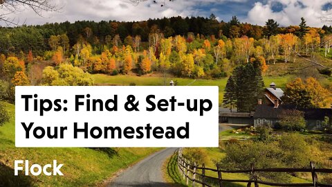 10 Tips on How to Find & Set-up Your Homestead — Ep. 003