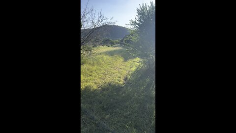 Hiking in Hill Country