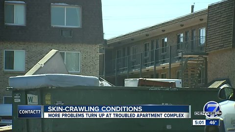 Bed bugs, cockroaches & mice: Woman moves out of Golden Nugget Apartments after infestation