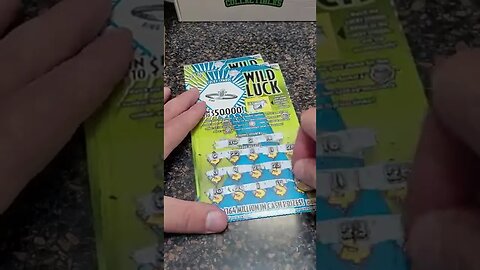 Winning Lottery Ticket Wild Luck!