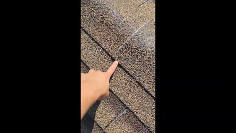 Stay Dry Shingle Roof Inspection