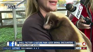 Shell Factory and Nature Park adds "Close Encounters" Attraction