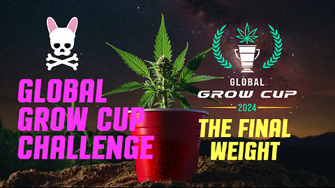 The Final Dry Weight - Global Grow Cup Challenge 2024