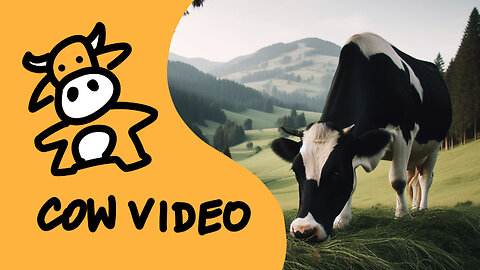 COW VIDEO 🐮🐄 COWS MOOING AND GRAZING IN A FIELD 🐄🐮