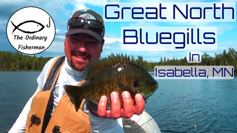 S1 E15 Great North Bluegills, Isabella, MN