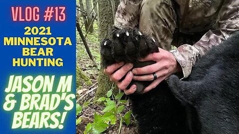 Minnesota Bear Hunting Vlog 13 | Bears for Jason and Brad