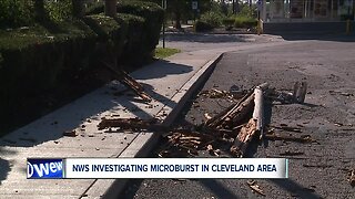 Cleveland Heights experienced microburst during Friday's storm