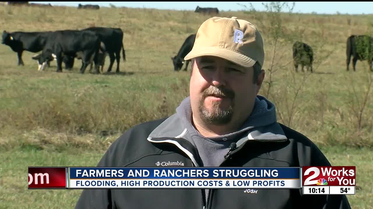 Farmers and ranchers struggling: Flooding, high production costs & low profits