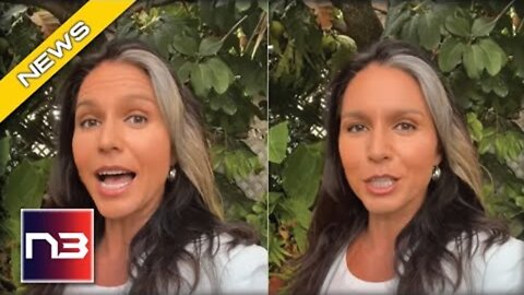 Tulsi Gabbard SHOWS The World Biden’s “Hit Squad” Used Against Trump Allies