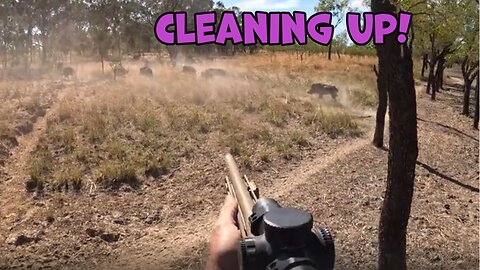 LAST PARADISE SERIES - Cleaning up outback Australia wild boar hunting