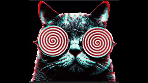 Double-up Karma hypno cat