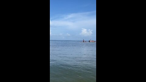 Livestream Clip - Just Another Manatee Monday - Little Hickory Beach Bonita Springs, FL