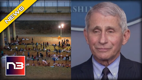 As Thousands of infected Migrants INVADE the Border, Dr. Fauci's Response Is STUNNING