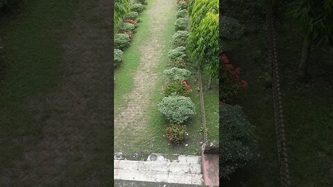 the most of beautiful flower garden in amazing sweet College