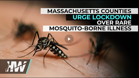 MASSACHUSETTS COUNTIES URGE LOCKDOWN OVER RARE MOSQUITO-BORNE ILLNESS