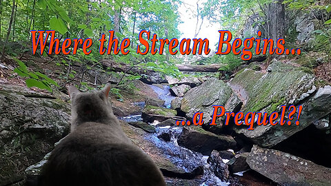 Where the Stream Begins--The Pathless Wilderness of Northern Ontario HD