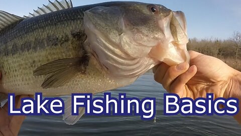 How To Start Fishing Any Lake for Beginners - Tips and Techniques