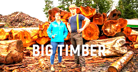 BIG TIMBER Official Trailer Netflix (2021)