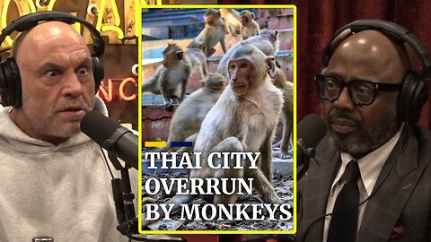 Thailand Is Infested With Monkeys | Joe Rogan & Donnell Rawlings