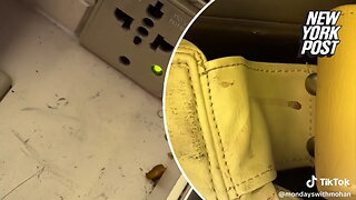 Outraged passenger rips filthy $6,300 first-class cabin in viral video