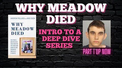 WHY MEADOW DIED | INTRODUCTION TO A BOOK DEEP DIVE | PARKLAND, FL SCHOOL SHOOTING