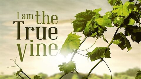 The Church Today Is Not The True Vine ONLY Jesus Is