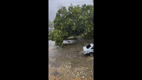 Hurricane beryl in Jamaica